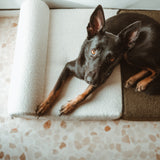 Pack Cama Seattle + Funda Ascot