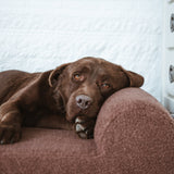 Cama Quelle Chocolate