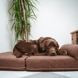 Cama Quelle Chocolate