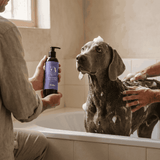 Champú Ayurveda Elixir