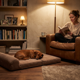 Cama Pana Gruesa Beige
