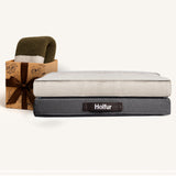 Pack Cama Seattle + Funda Ascot